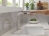 Pull-Out Kitchen Faucet (Recertified)