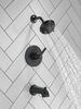 Tub/Shower Rough and Trim 14S (Recertified)