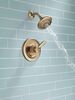 Monitor&reg; 17 Series Shower Trim