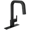 Pull-Down Kitchen Faucet (Recertified)