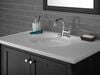 Single Handle Pull-Down Bathroom Faucet