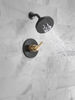 Monitor&reg; 14 Series H2Okinetic&reg; Shower