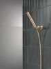 2-Setting Hand Shower with ProClean&trade; Spray