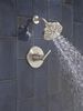 Monitor&reg; 14 Series Shower Only (Recertified)