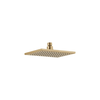 Shower Head