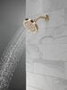 5-Setting Showerhead