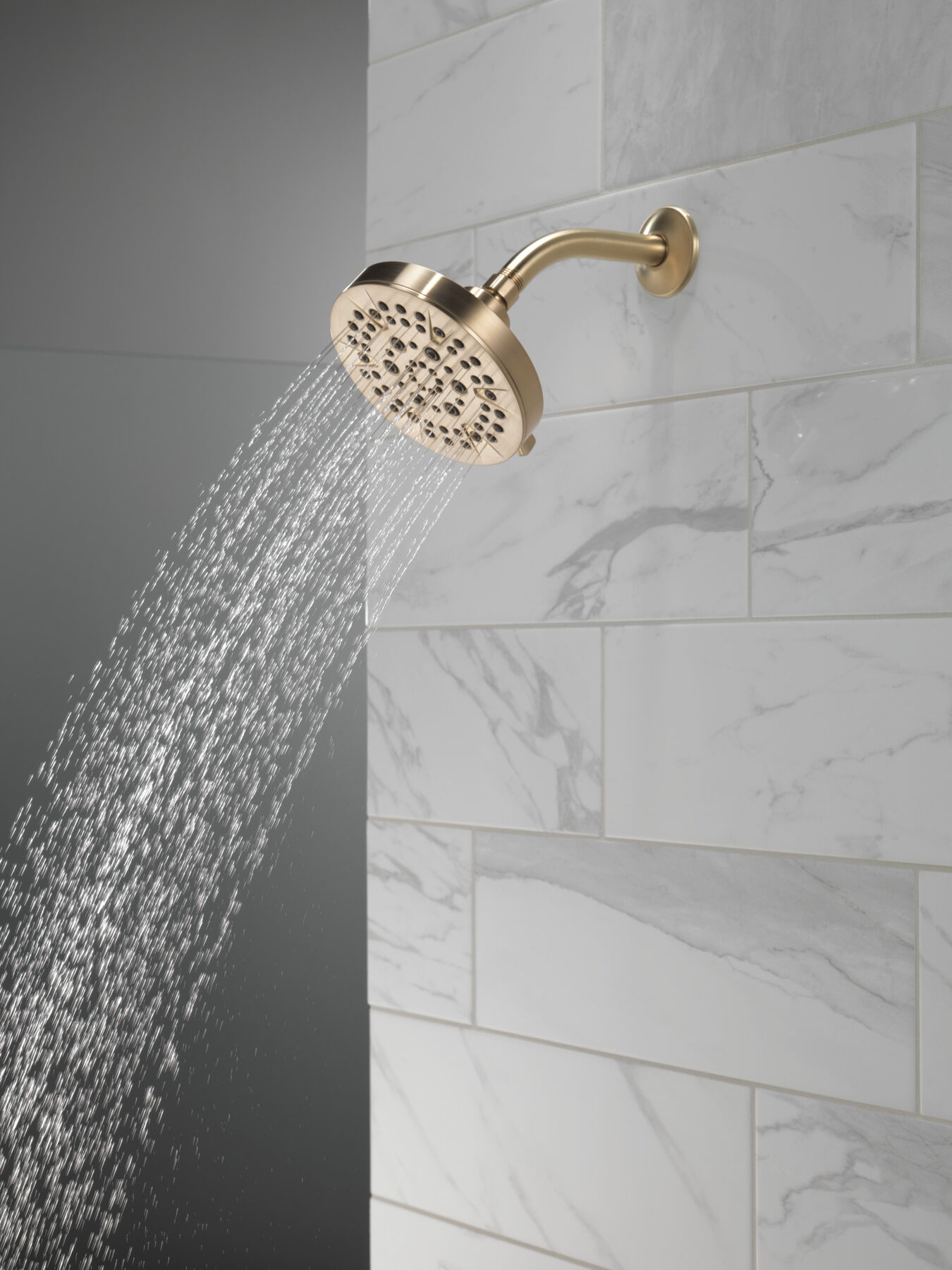 5-Setting Showerhead