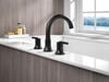 Roman Tub Trim