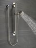 Palm&reg; Hand Shower with Contemporary Slide Bar / Grab Bar