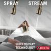 Pull-Down Kitchen with Soap Disp Bundle