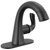 Single Handle Pull-Down Bathroom Faucet (Recertified)