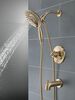 17 Series Shower Only Trim with In2ition&reg; (Recertified)