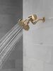 Premium Shower Filter with Shower Head Bundle