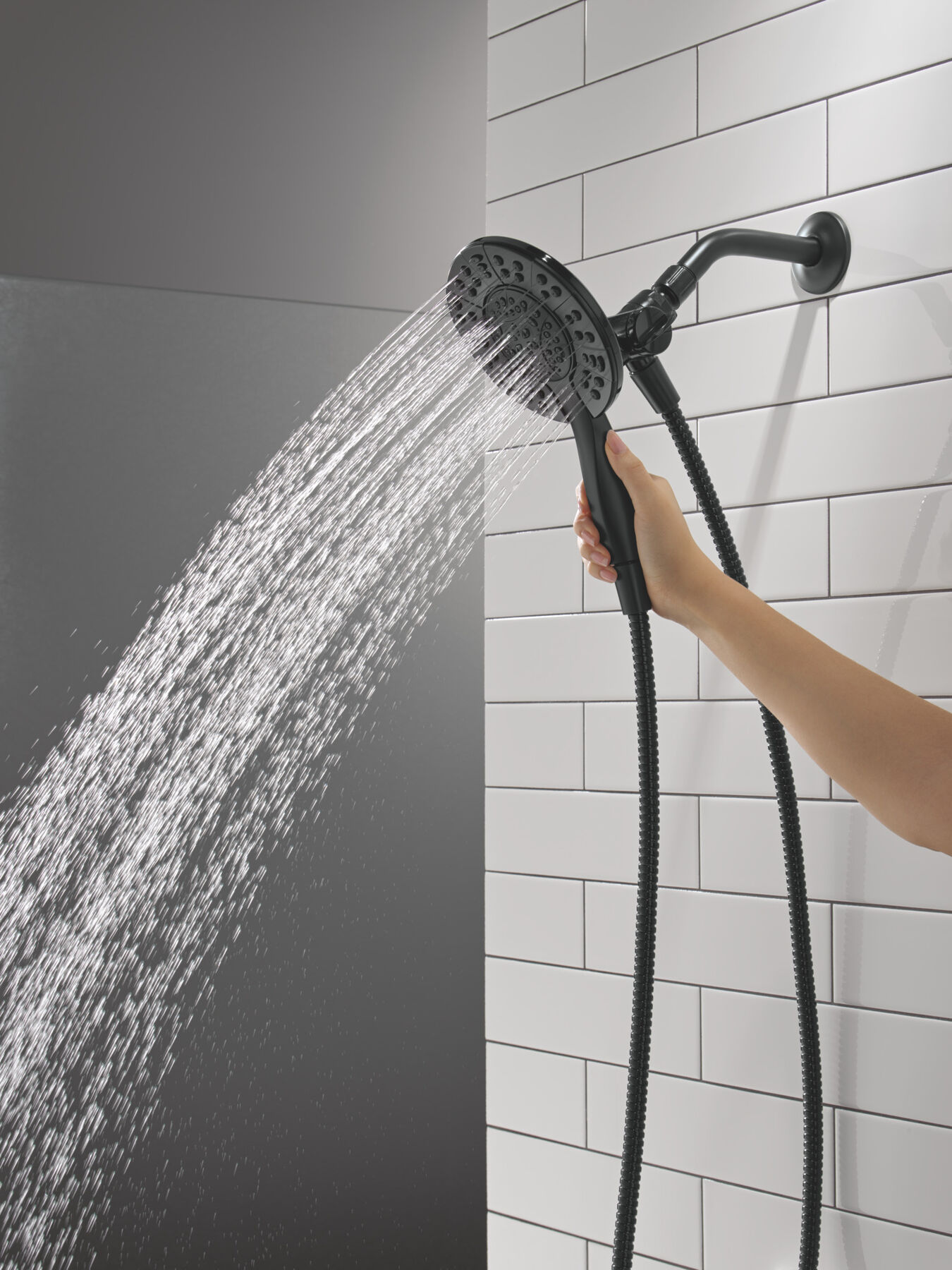 4-Setting Two-in-One Shower