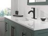 Single Handle Pull-Down Bathroom Faucet (Recertified)