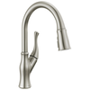 Pull-Down Kitchen Faucet (Recertified)