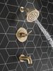 Monitor&reg; 14 Series Tub & Shower Trim