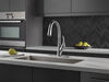 Single Handle Pull-Down Kitchen Faucet with ShieldSpray&reg; Technology