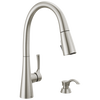 Single Handle Pull-Down Kitchen Faucet with Soap Dispenser and ShieldSpray Technology