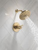 TempAssure&reg; 17T Series H<sub>2</sub>Okinetic&reg; Shower Trim (Recertified)
