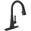 Pull-Down Kitchen Faucet (Recertified)