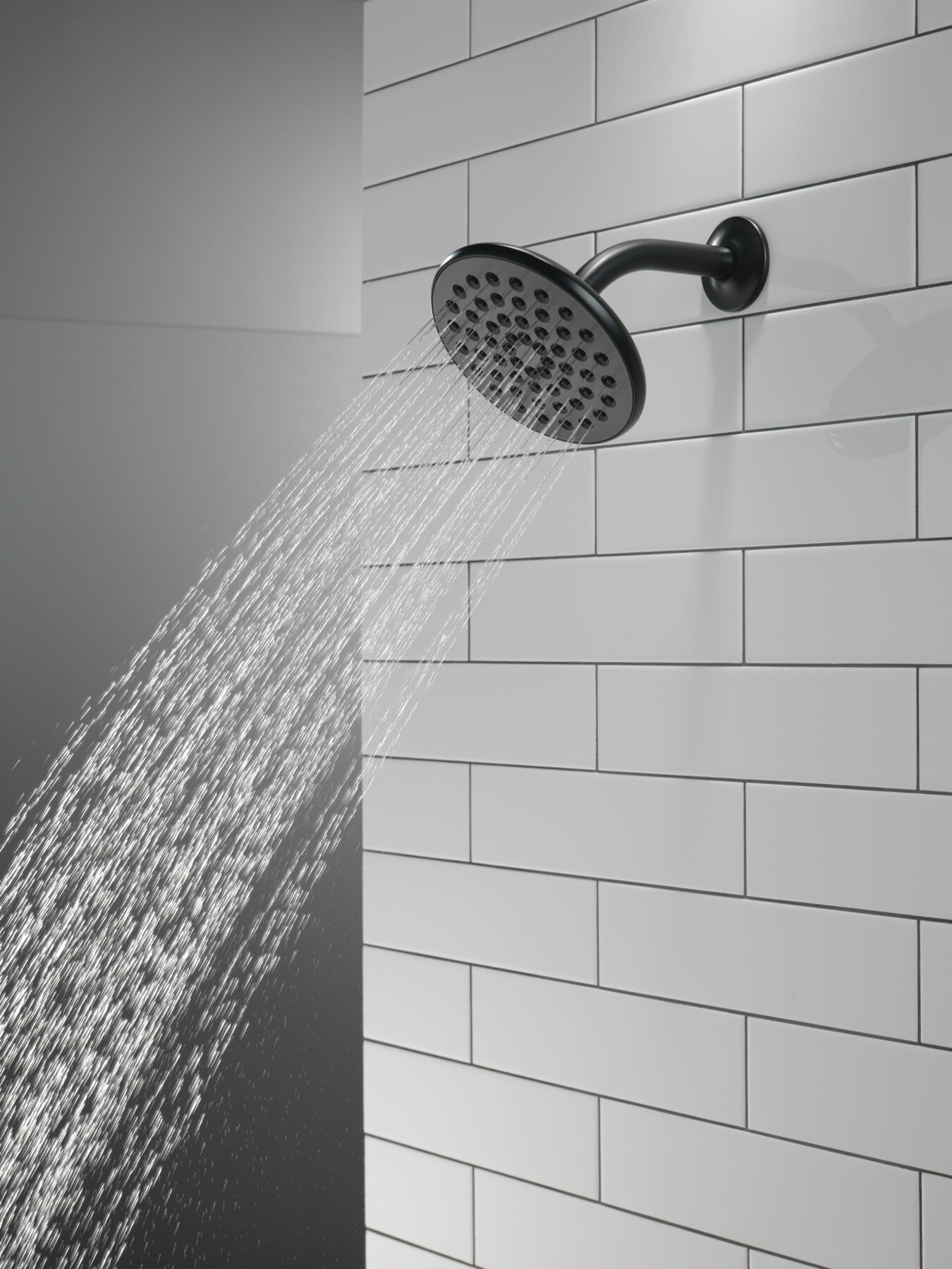 Single-Setting Raincan Shower Head