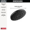 PivotPro&trade; Raincan Shower Head