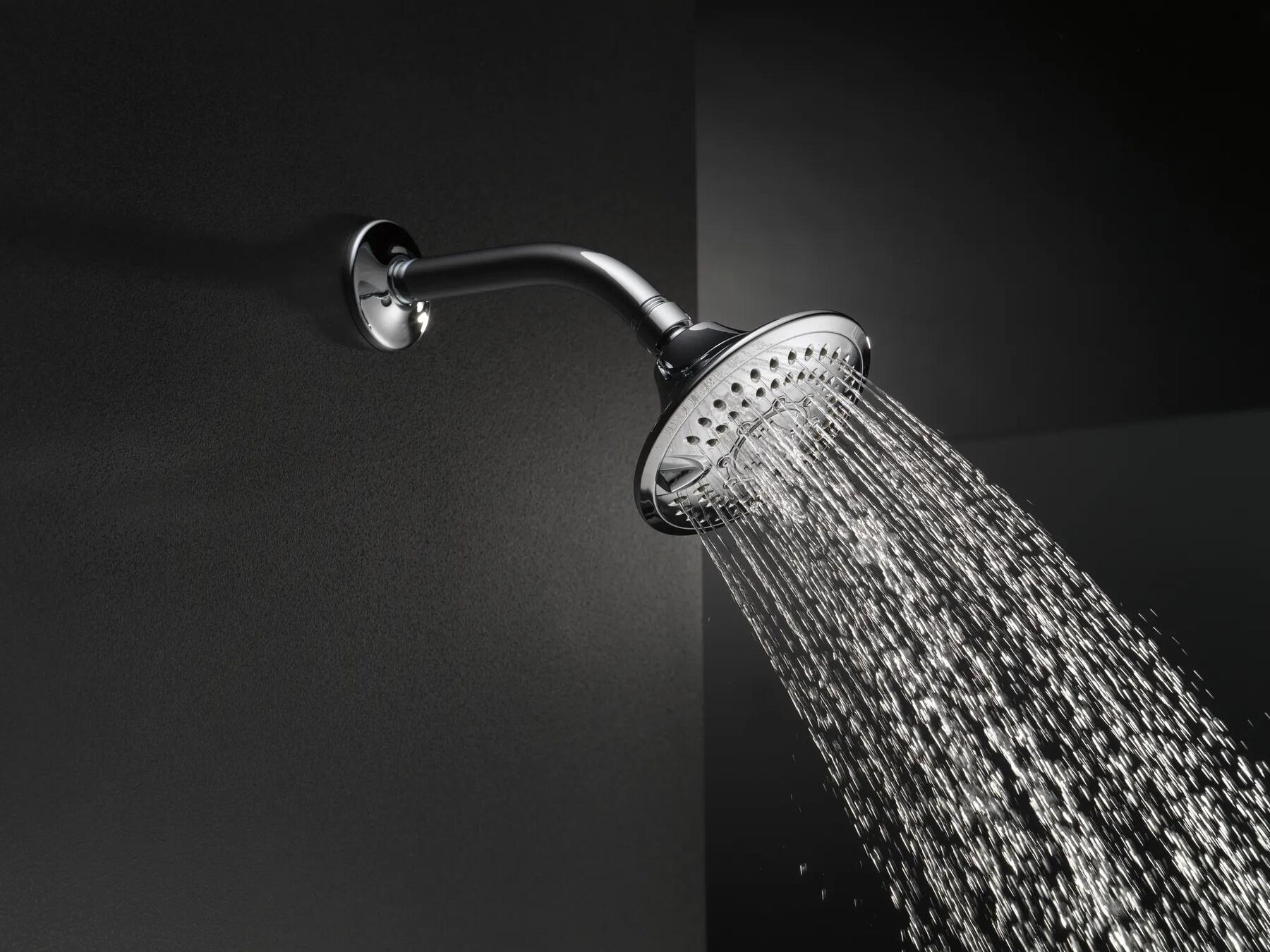 5-Setting Raincan Shower Head