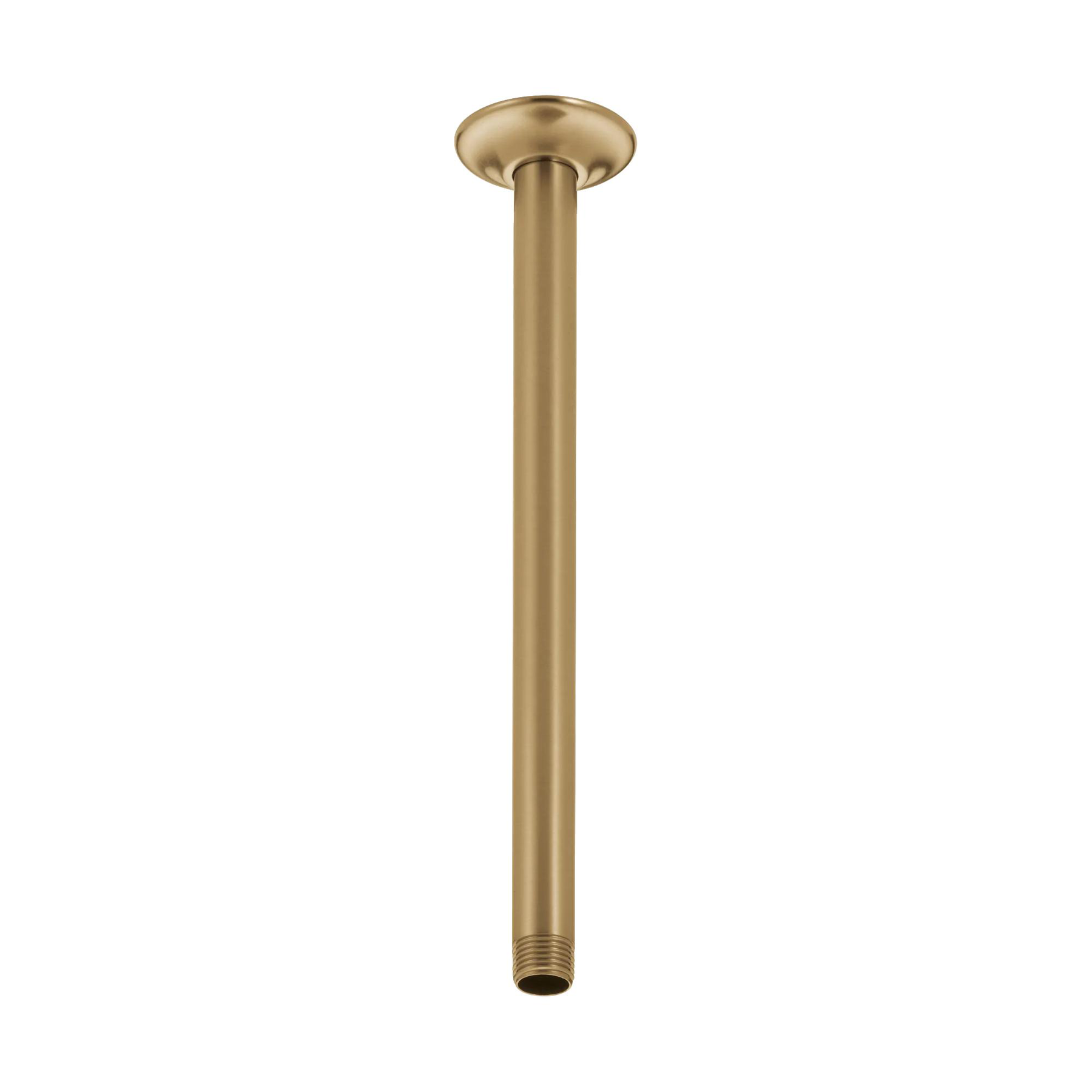 Shower Arm & Flange 14" Ceiling Mount (Recertified)