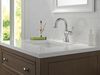 Single Handle Pull-Down Bathroom Faucet (Recertified)