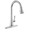 Single Handle Pull-Down Kitchen Faucet with ShieldSpray Technology