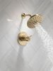 TempAssure&reg; 17T Series H<sub>2</sub>Okinetic&reg; Shower Trim
