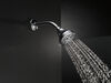 5-Setting Water-Efficient Vandal Resistant Shower Head