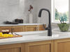 VoiceIQ&reg; Single Handle Pull-Down Faucet with Touch<sub>2</sub>O&reg; Technology