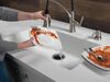 Single Handle Pull-Down Kitchen Faucet with ShieldSpray