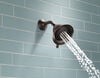 Premium 3-Setting Shower Head