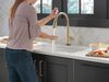 Touch<sub>2</sub>O&reg;  Pull-Down Kitchen w/ShieldSpray (Recertified)