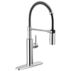 Pull-Down Kitchen Faucet (Recertified)