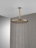 SH 1.75 GPM Raincan 12" 1S Metal (Recertified)