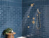 Monitor&reg; 17 Series H<sub>2</sub>Okinetic&reg; Shower Trim