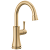Transitional Beverage Faucet