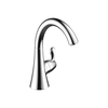 Transitional Beverage Faucet