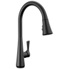 Single Handle Pull-Down Kitchen Faucet with ShieldSpray Technology