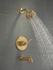Monitor&reg; 14 Series Tub and Shower