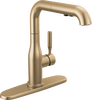 Pull-Out Kitchen Faucet (Recertified)