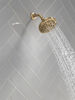 Fixed 5-Setting Showerhead