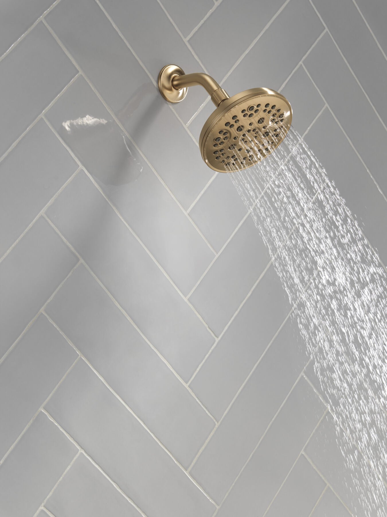 Fixed 5-Setting Showerhead