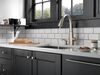 Single Handle Pull-Down Kitchen Faucet with Soap Dispenser and ShieldSpray&reg; Technology