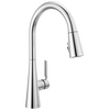 Single Handle Kitchen Pull-Down Faucet