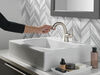 Single Handle Pull-Down Bathroom Faucet
